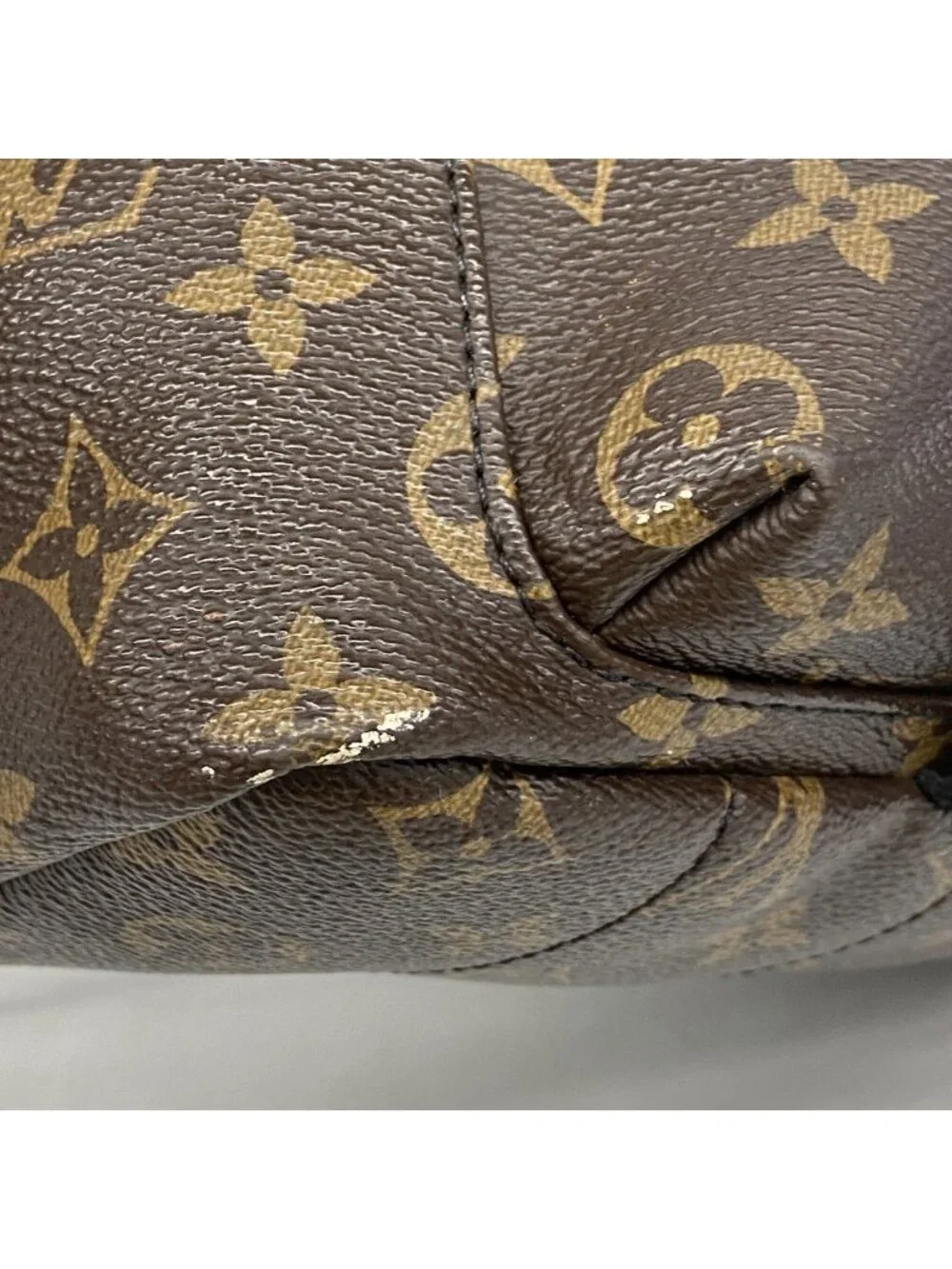 Louis Vuitton Backpack Monogram Palm Springs PM Brown